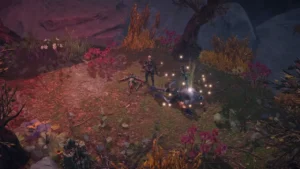 Disciples: Liberation Paths to Madness