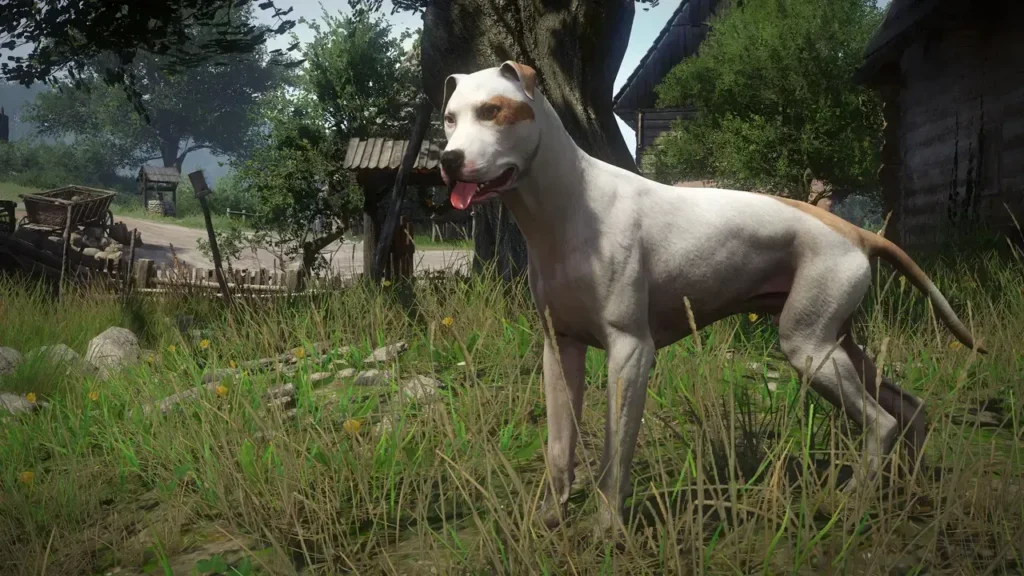 Kingdom Come: Deliverance - A Woman's Lot