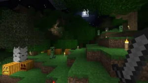 Test IMG keys