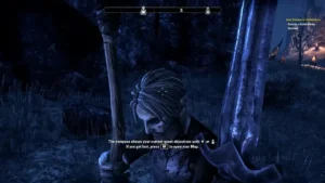 The Elder Scrolls Online: 2025 Premium Edition - EARLY PURCHASE