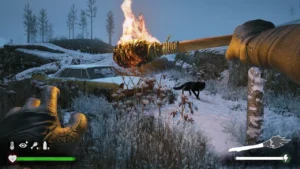 Winter Survival