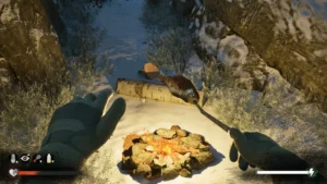 Winter Survival